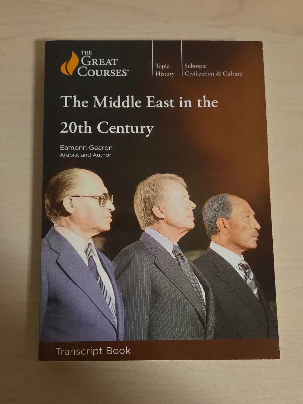 The Middle East in the 20th Century by Eamonn Gearon